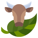 Rockhampton Longreach Emerald