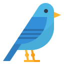 Blue-Faced Honeyeater