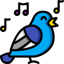 Nice Design by Splash