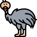 #1 Bird